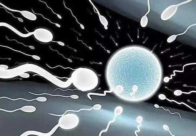 贵阳代孕生殖专家,试管放2个胚胎的成活率_输卵管粘连该怎么办？医生告诉您